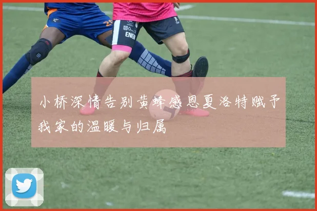小桥深情告别黄蜂感恩夏洛特赋予我家的温暖与归属